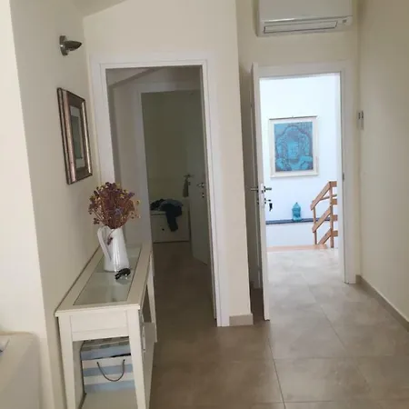 App . Boris * Umag